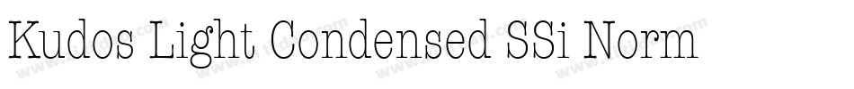 Kudos Light Condensed SSi Normal字体转换